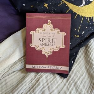 🦄 little book of spirit animals
